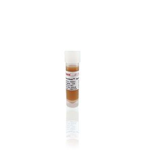 magnetic bead-based reagent 1