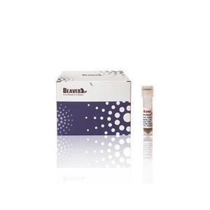 magnetic bead-based reagent 1