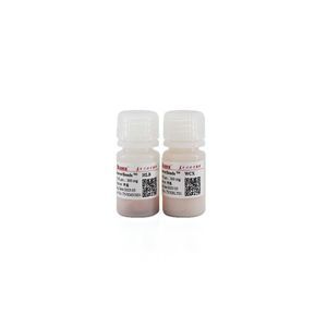 magnetic bead-based reagent kit 1