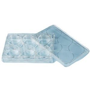 research microplate