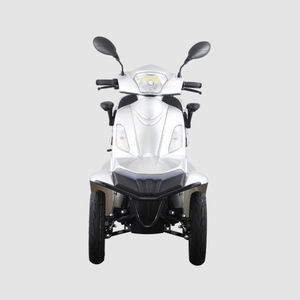 electric mobility scooter 1
