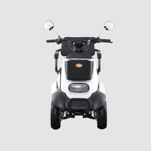 electric mobility scooter 1