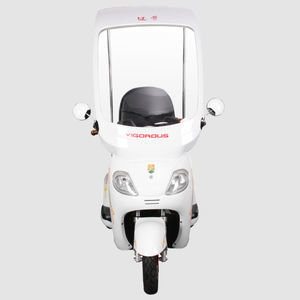electric mobility scooter 1