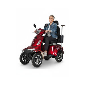 electric mobility quadricycle