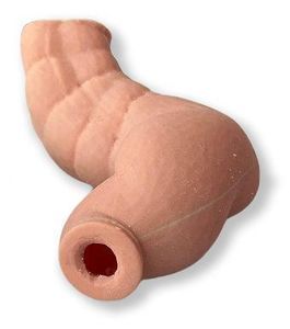 colon phantom 1