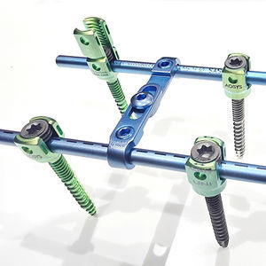 thoraco-lumbar pedicle screw
