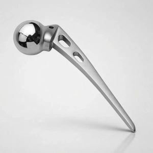 primary femoral head prosthesis
