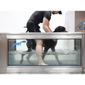 underwater veterinary treadmill