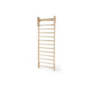 rehabilitation wall bars