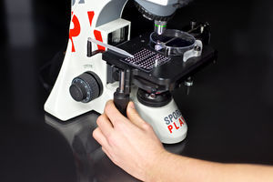 optical stereo microscope