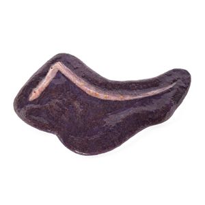 spleen model