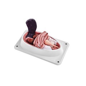 canine spay simulator