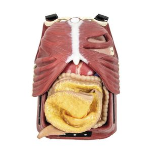 airway management simulation suit