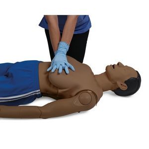 skin anatomical model 1