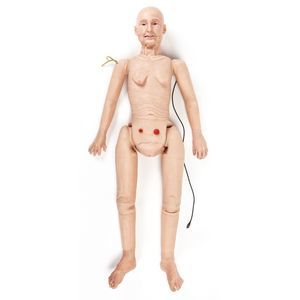 dental care training manikin 1