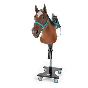 veterinary care training manikin 1