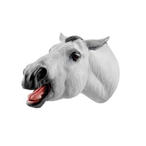 mouth anatomical model 1