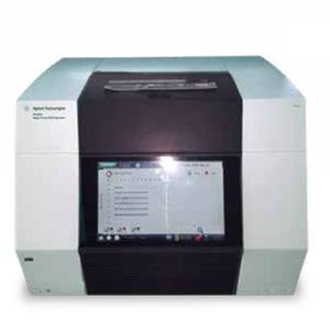 real-time PCR system