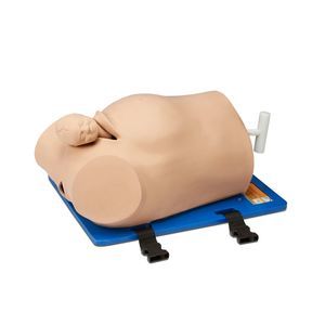 training simulator 1