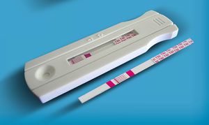rapid myocardial infarction test / cardiac troponin I / whole blood / serum