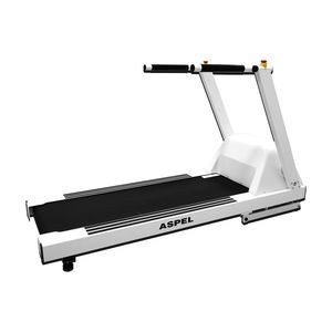 treadmill ergometer with handrails