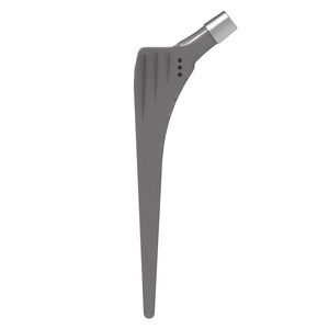 revision femoral stem