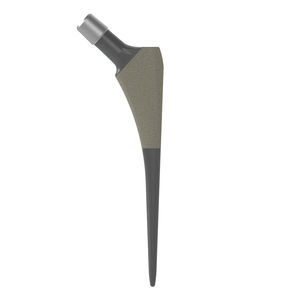 revision femoral stem