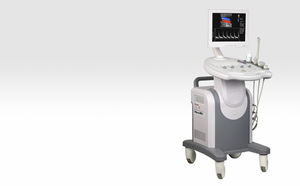 on-platform ultrasound system