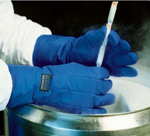 cryoprotection gloves