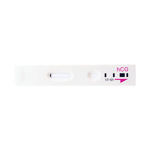 pregnancy test kit