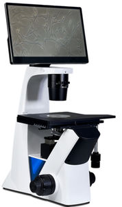optical microscope 1
