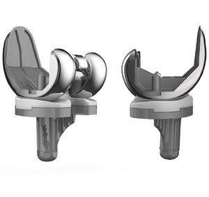total knee prosthesis