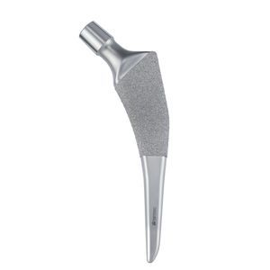 cementless femoral stem