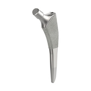 cementless femoral stem