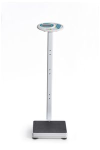 electronic scale 1