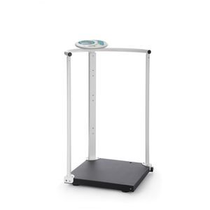 electronic scale 1