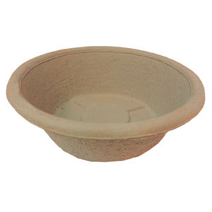 disposable container
