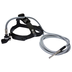 fiber optic headlight