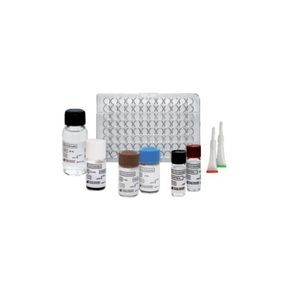 serology test kit