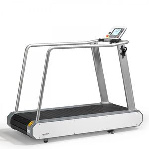 treadmill with handrails