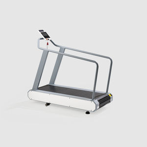 treadmill with handrails