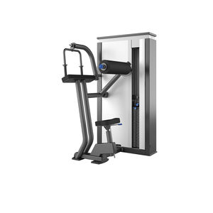 triceps extension gym station