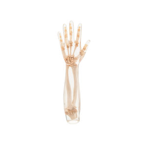 radiography test phantom