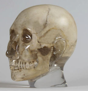 dental radiography test phantom