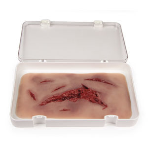 wound management simulator