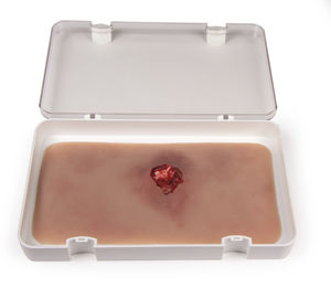 wound management simulator