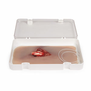 wound management simulator