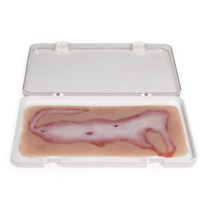 wound management simulator