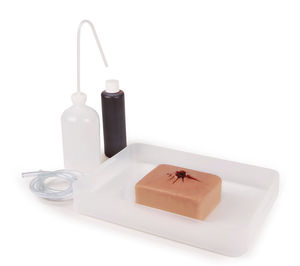 emergency care simulator