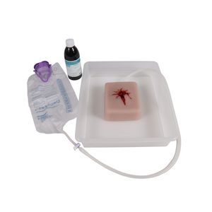 wound management simulator